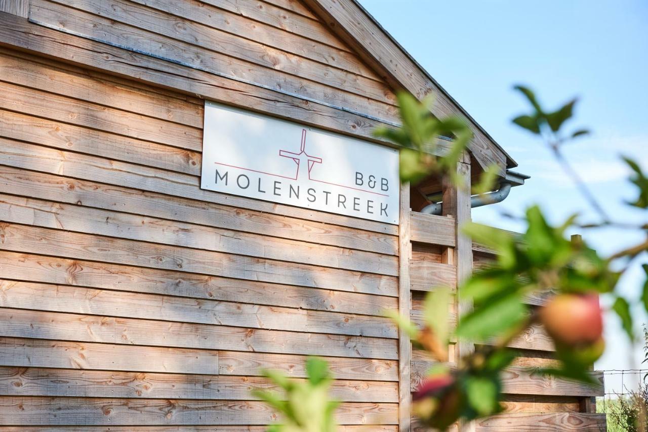 B&B Molenstreek Groningen Bagian luar foto